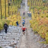 Des travaux seront réalisés sur le parcours du KM Vertical, depuis les Garettes vers la plaine, dès le 7 juillet 2025.
